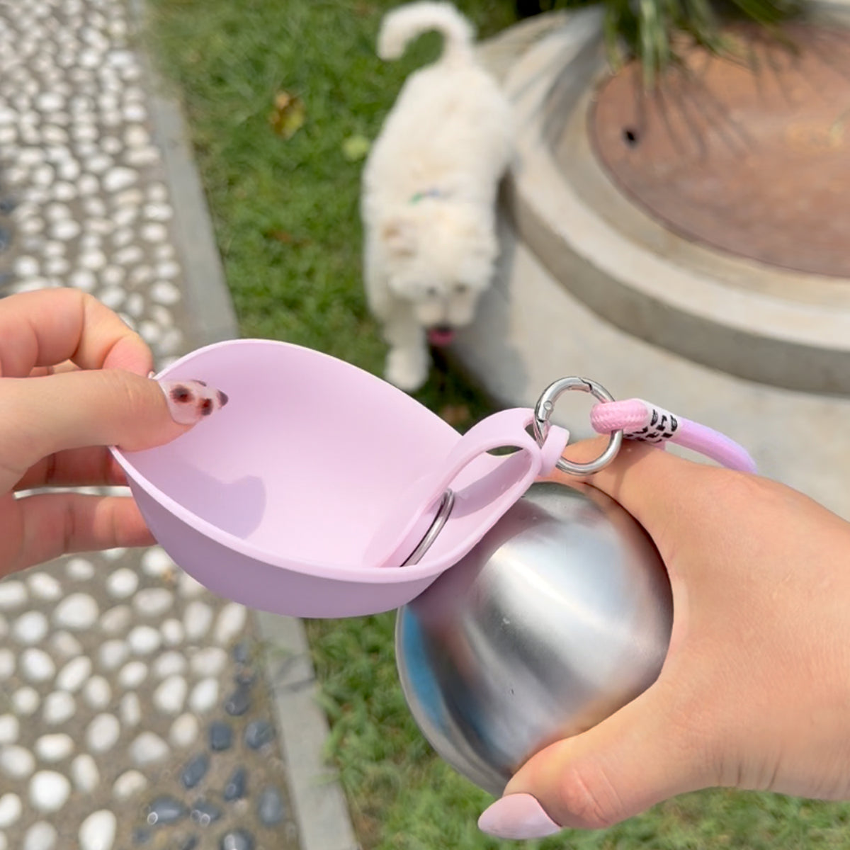 WalkSip portable dog water bottle with foldable drinking bowl